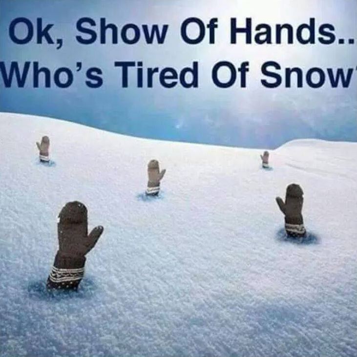 Snowy weather got projects piling up?