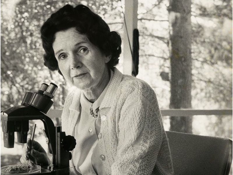 Honoring Women In Science: Rachel Carson