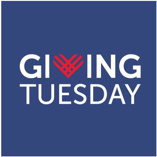Giving Back on Giving Tuesday: Support Environmental Causes