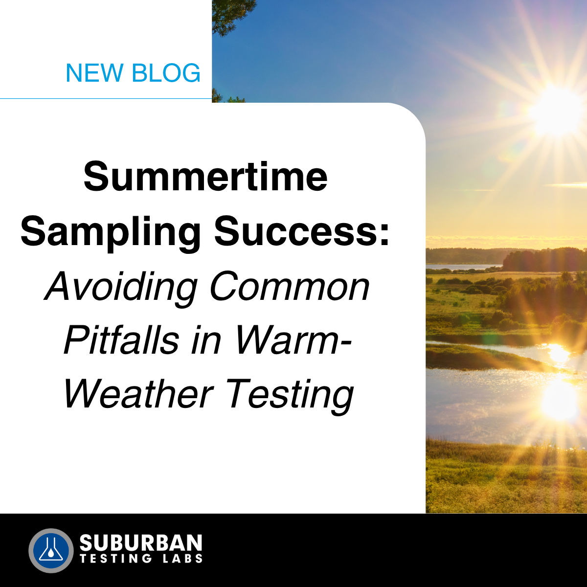 Summertime Sampling Success